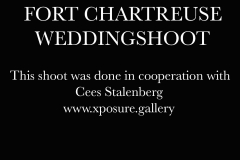 Chartreuse wedding
